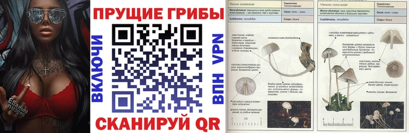 Псилоцибиновые грибы мицелий  Купить закладки  Лабинск 